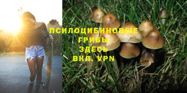 крисы Алексеевка