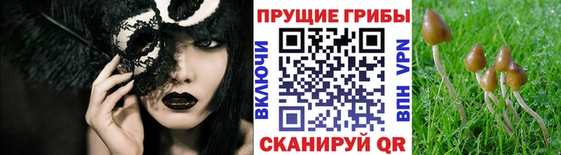 ОМГ ОМГ как войти  Дегтярск  Галлюциногенные грибы ЛСД 
